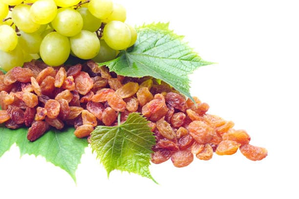تصویر 2 از خرید و قیمت کشمش طلایی + فروش ویژه
